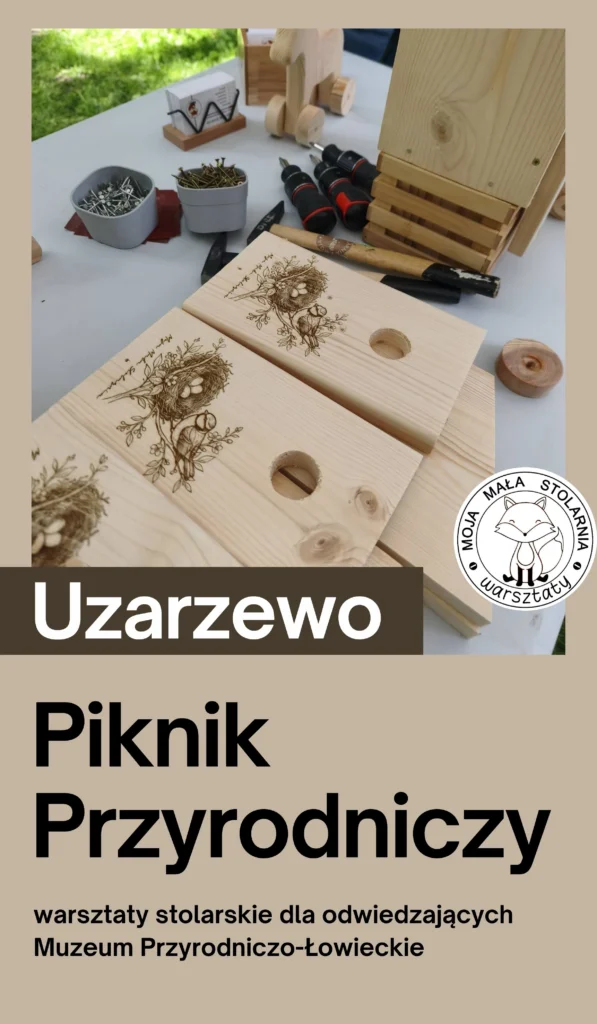Stoisko mobilnej stolarni - moja mała stolarnia - warsztat podczas Pikniku Przyrodniczego w Muzeum Przyrodniczo Łowiecki w Uzarzewie