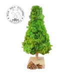 Choinka z chrobotkiem, do samodzielnego montażu