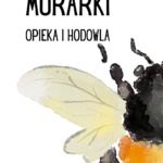 dzika pszczoła murarka