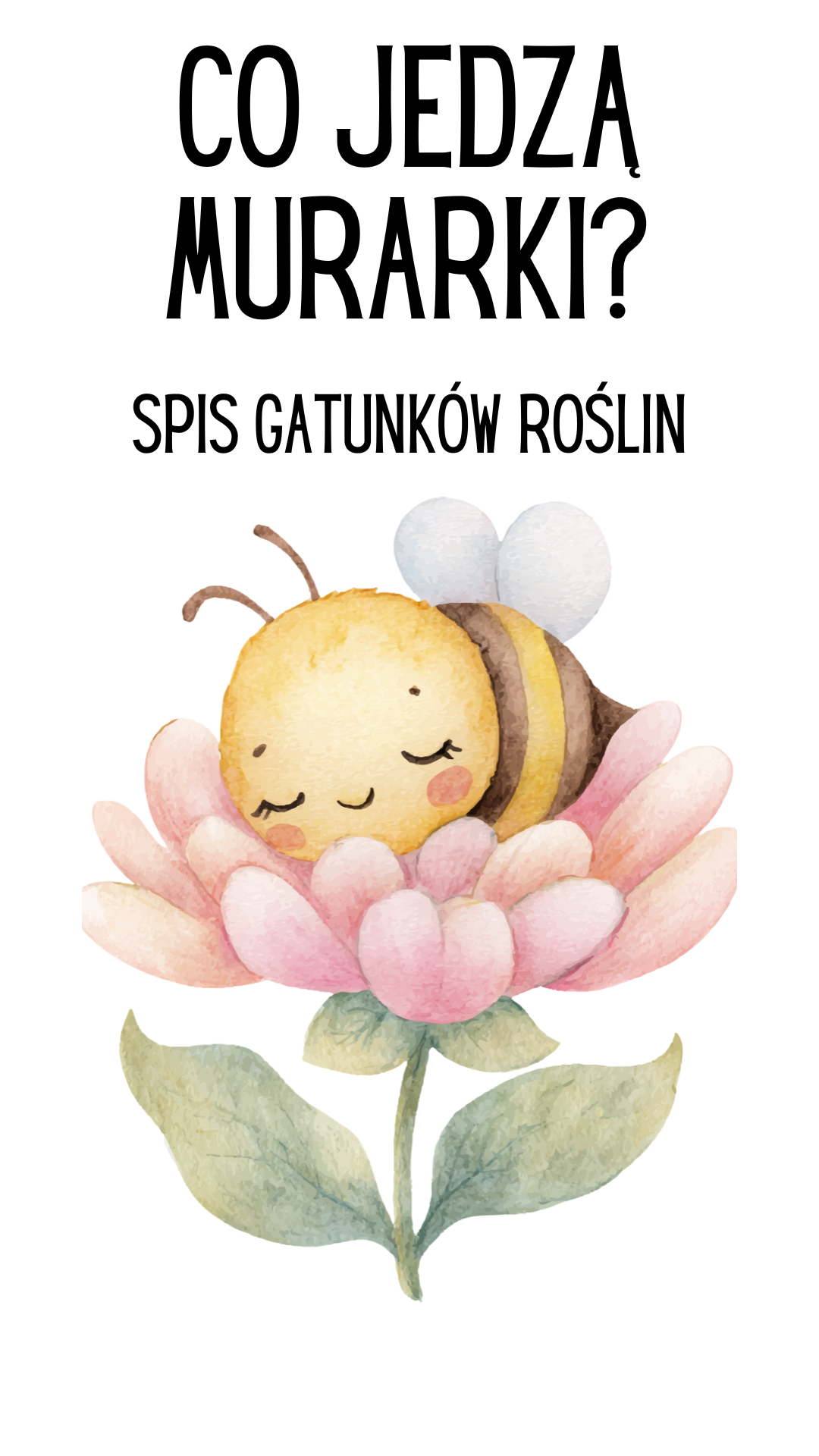 pszczoła śpi na kwiatku, nektarujące rośliny dla murarek