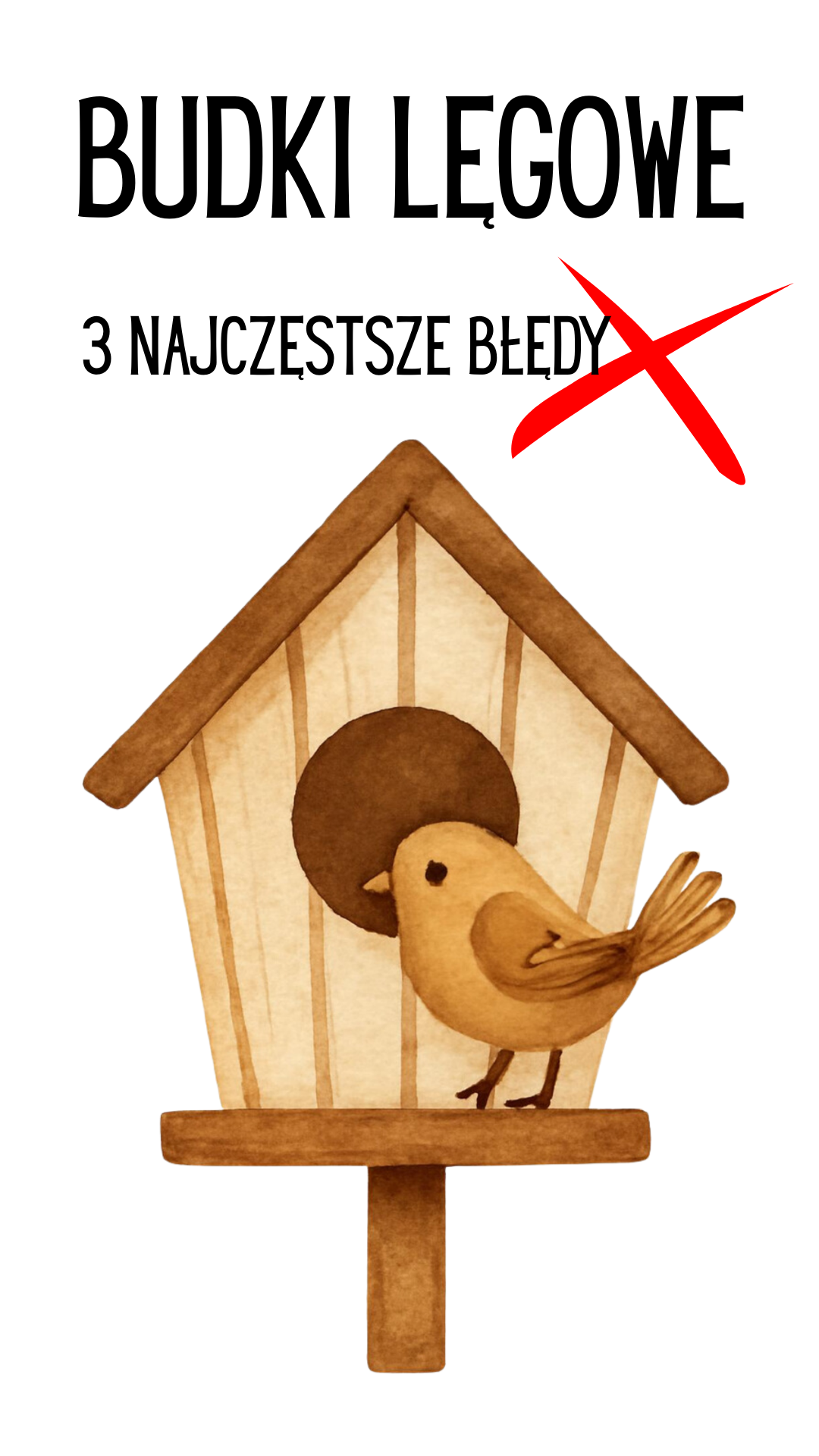 budka lęgowa z ptaszkiem